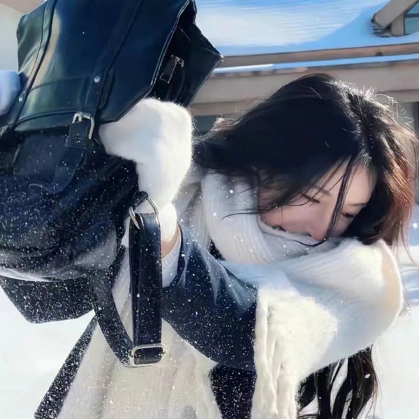 街上无树